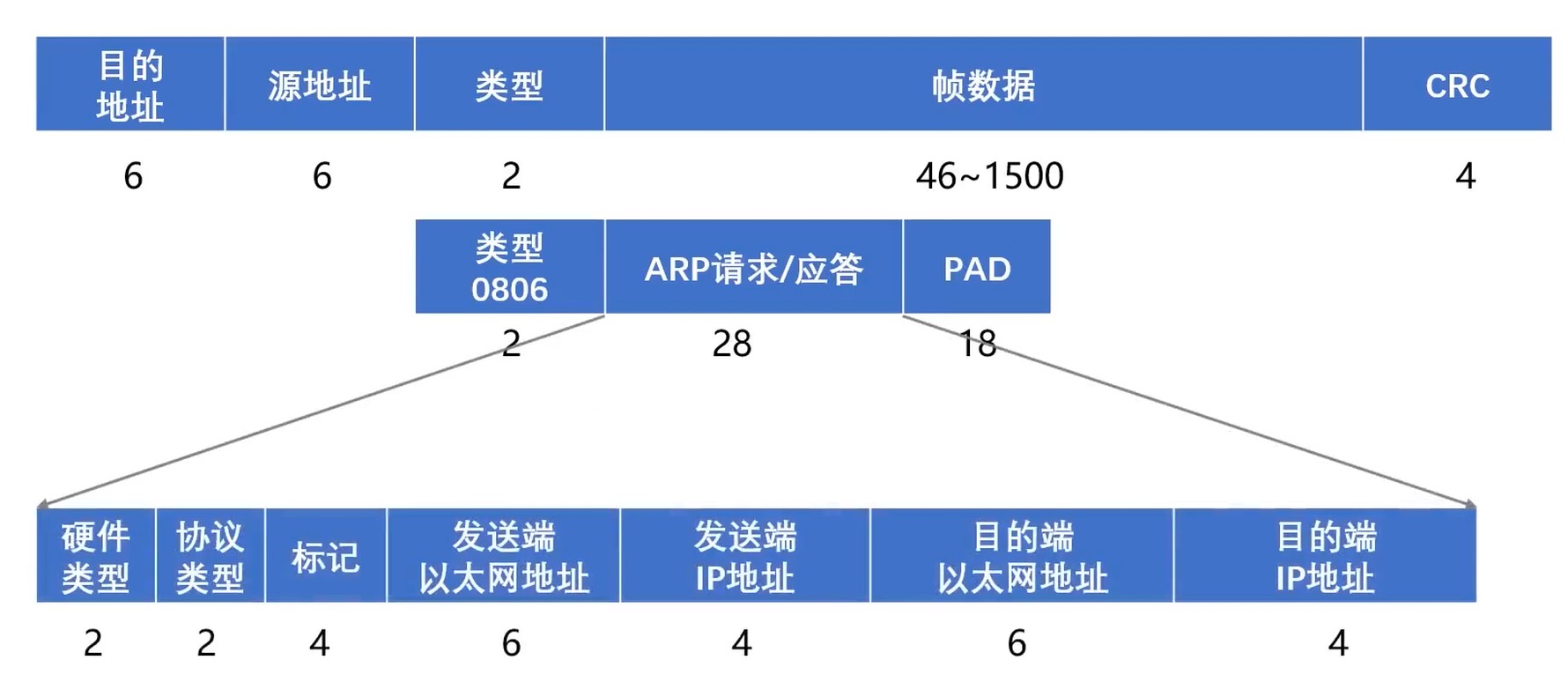 ARP协议格式